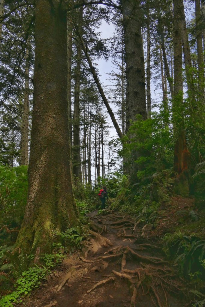 Hiking – Cape Lookout Oregon