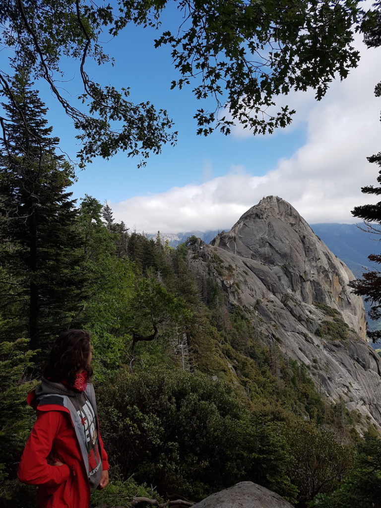 Sequoia National Park – Kalifornien